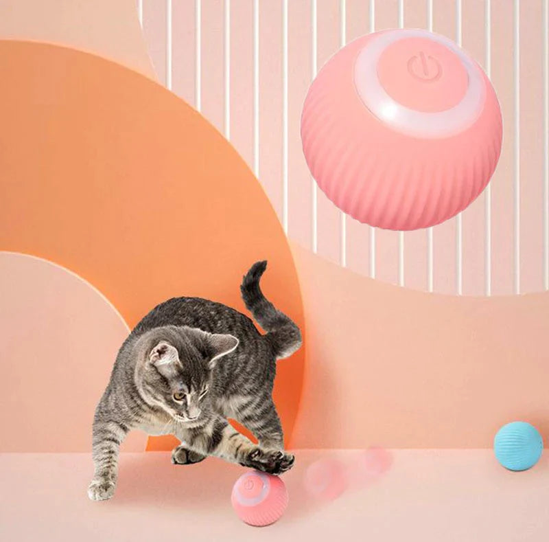 Balle interactive pour chat