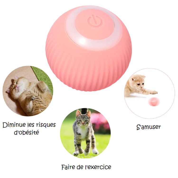 Balle interactive pour chat